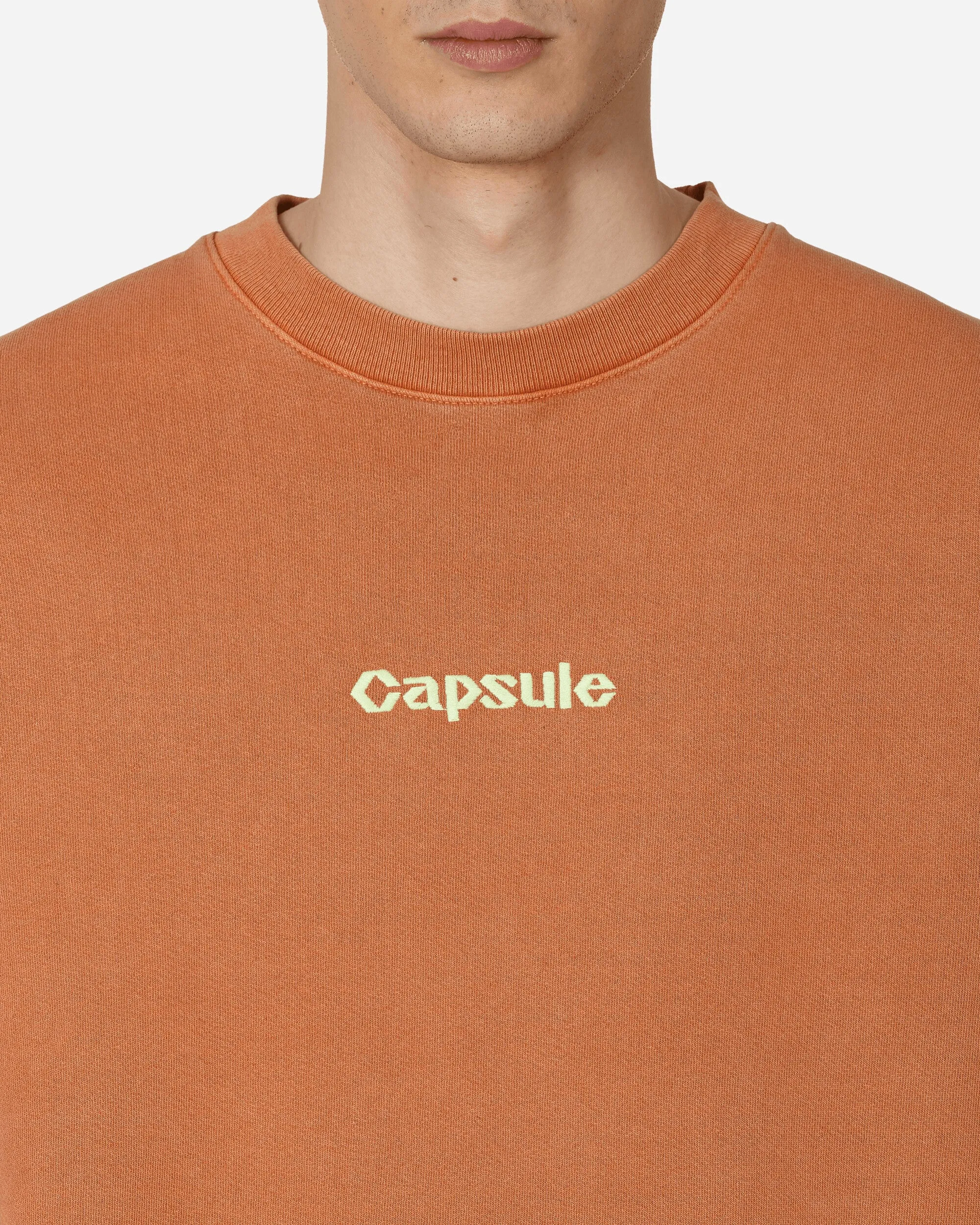 Classic Logo Crewneck Sweatshirt Rust